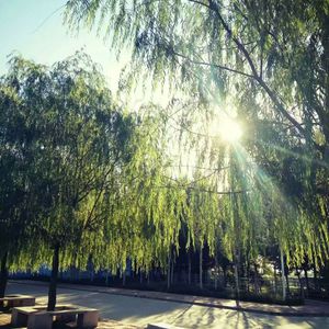 巨胸爆乳女教师奶
